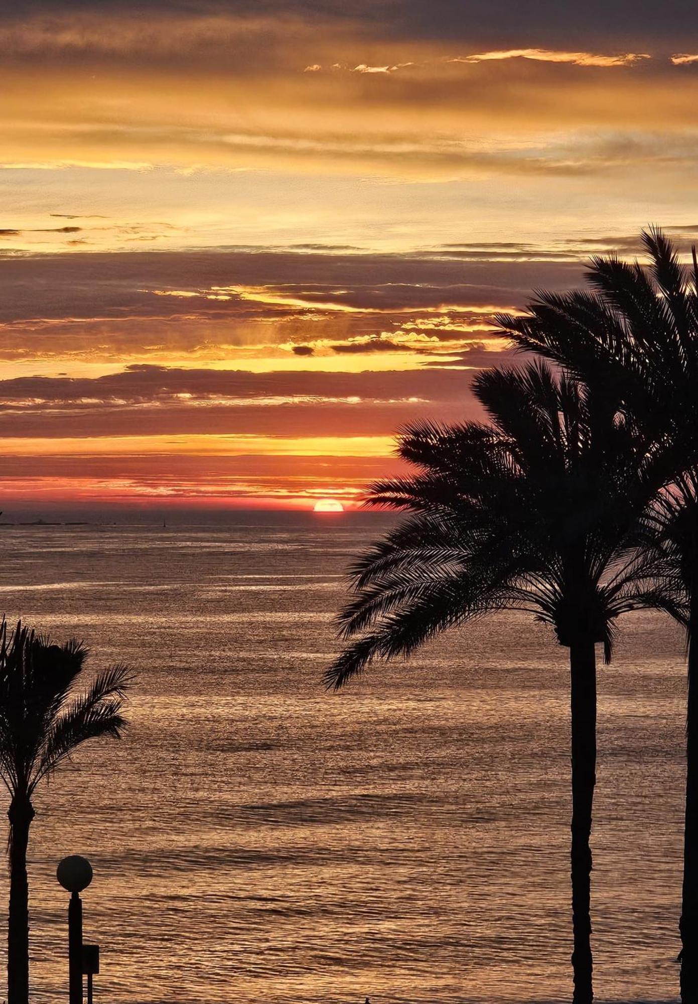 Apartamento Blanco El Albir Buitenkant foto
